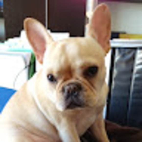 Meet your Posher, West & - Picture 1 of 1